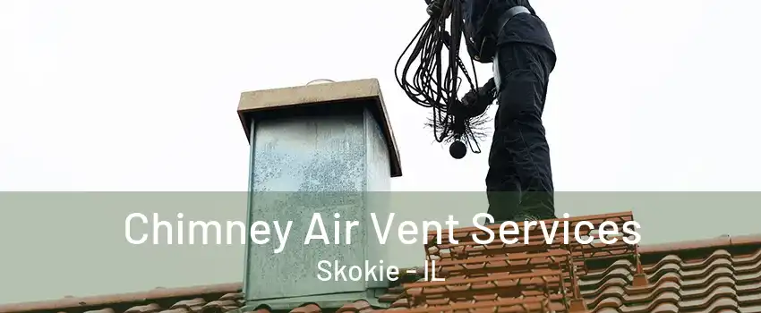 Chimney Air Vent Services Skokie - IL