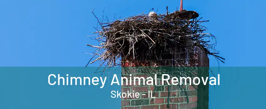 Chimney Animal Removal Skokie - IL