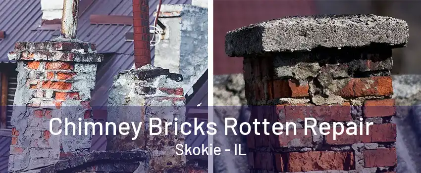 Chimney Bricks Rotten Repair Skokie - IL