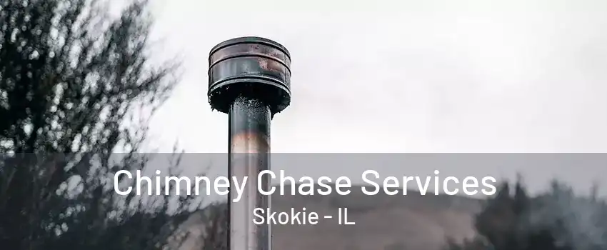 Chimney Chase Services Skokie - IL