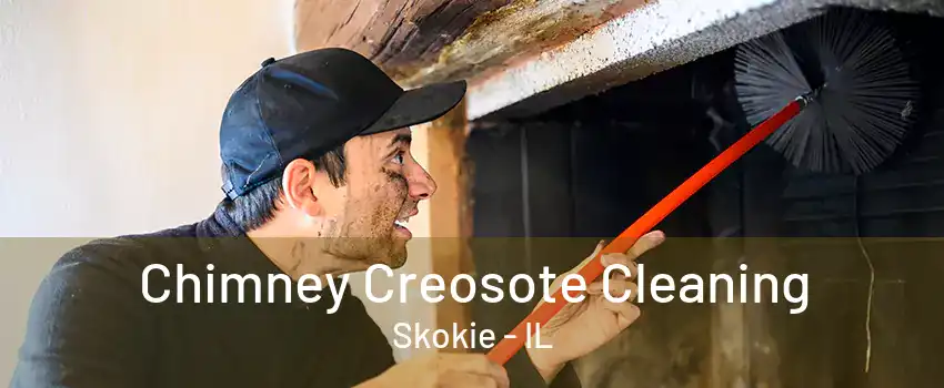 Chimney Creosote Cleaning Skokie - IL