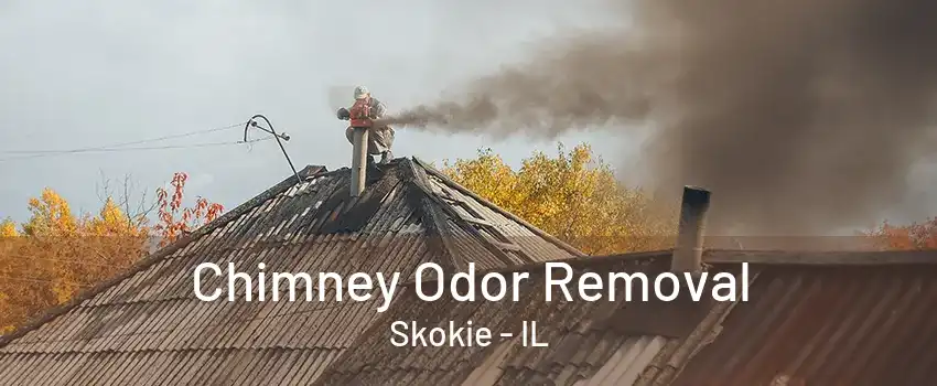 Chimney Odor Removal Skokie - IL