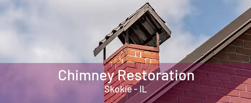 Chimney Restoration Skokie - IL