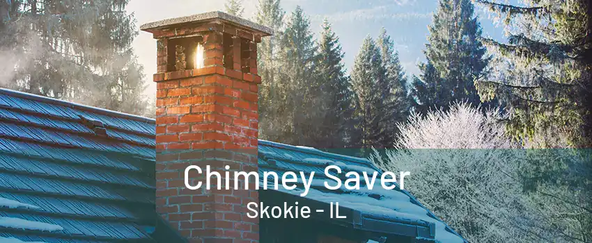 Chimney Saver Skokie - IL