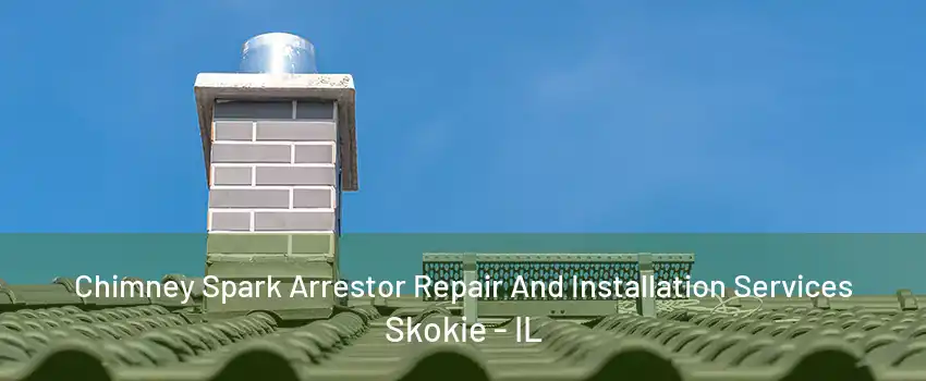 Chimney Spark Arrestor Repair And Installation Services Skokie - IL