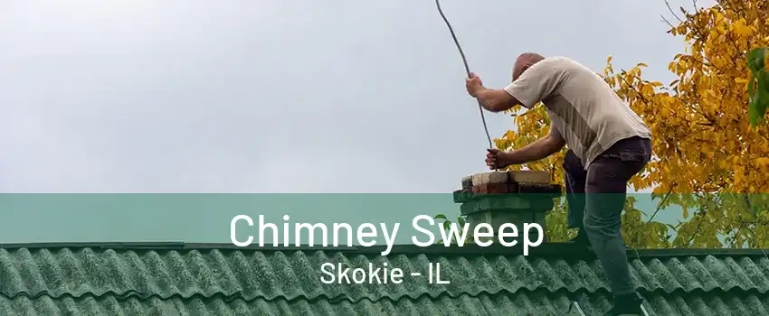 Chimney Sweep Skokie - IL