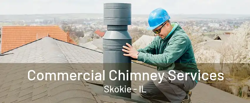 Commercial Chimney Services Skokie - IL