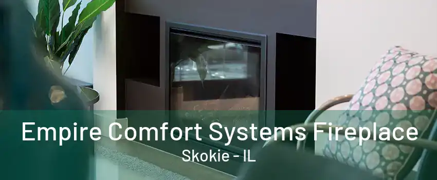 Empire Comfort Systems Fireplace Skokie - IL