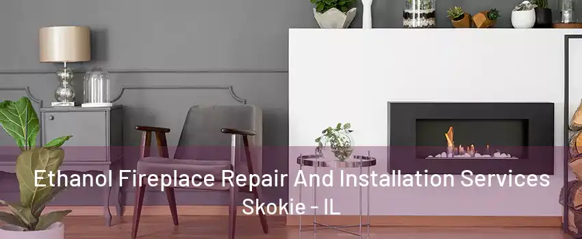 Ethanol Fireplace Repair And Installation Services Skokie - IL