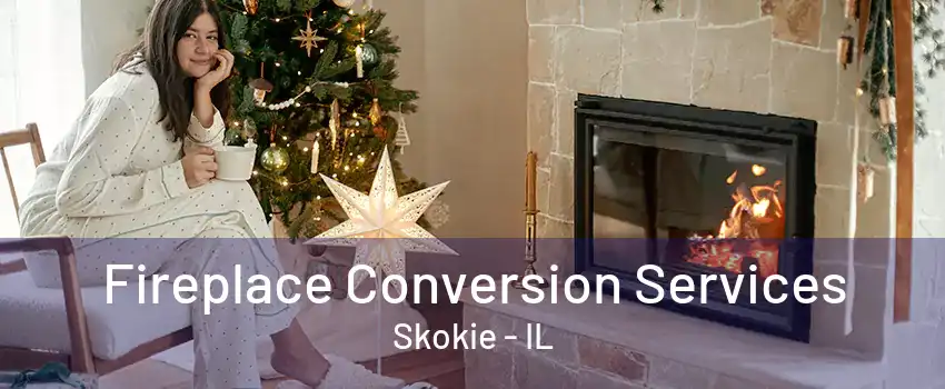 Fireplace Conversion Services Skokie - IL