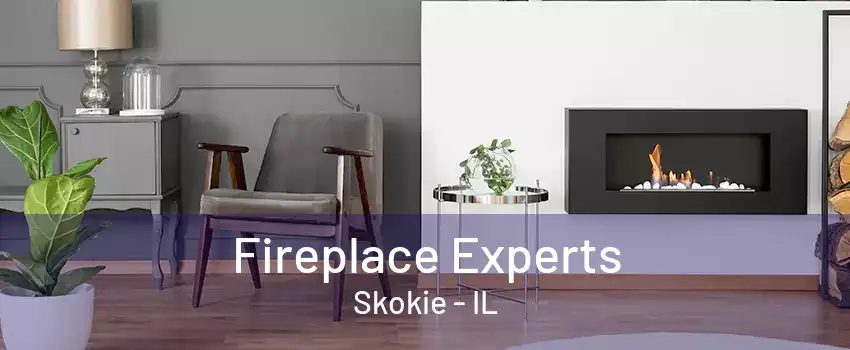 Fireplace Experts Skokie - IL