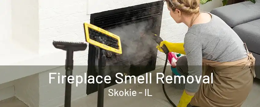 Fireplace Smell Removal Skokie - IL