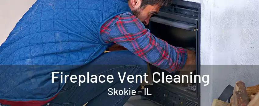 Fireplace Vent Cleaning Skokie - IL