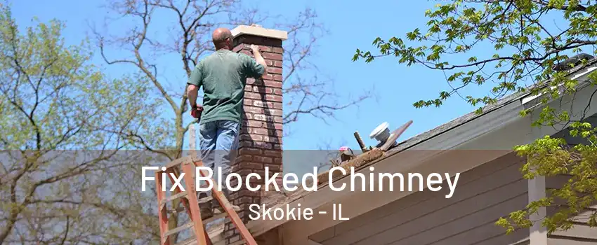 Fix Blocked Chimney Skokie - IL