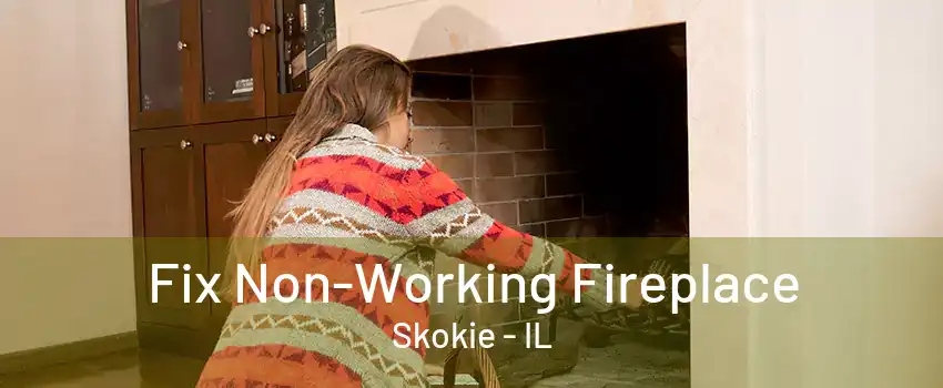 Fix Non-Working Fireplace Skokie - IL