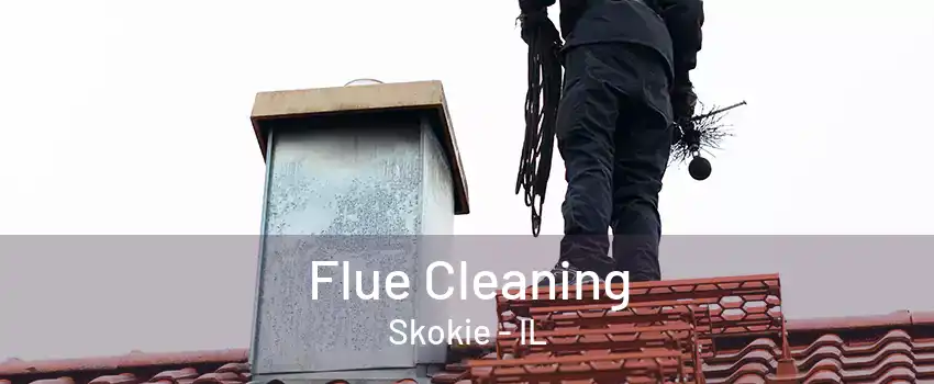 Flue Cleaning Skokie - IL