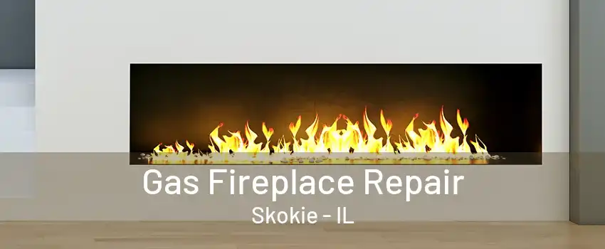 Gas Fireplace Repair Skokie - IL