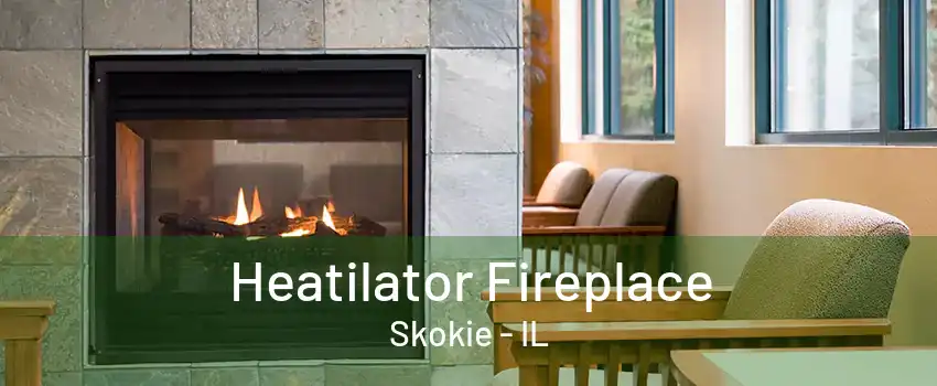 Heatilator Fireplace Skokie - IL