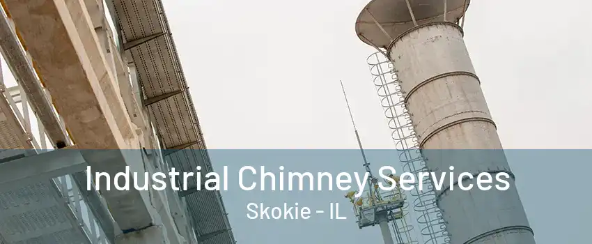 Industrial Chimney Services Skokie - IL