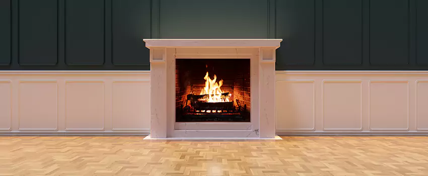 Napoleon Electric Fireplaces Inspection Service in Skokie, Illinois