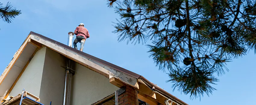 Birds Removal Contractors from Chimney in Skokie, IL