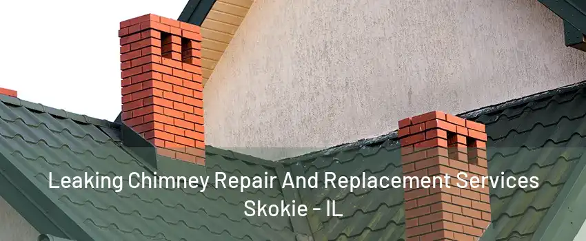 Leaking Chimney Repair And Replacement Services Skokie - IL