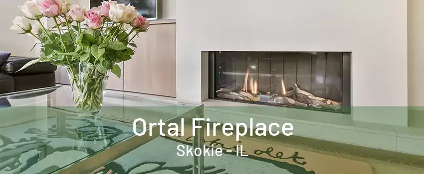 Ortal Fireplace Skokie - IL