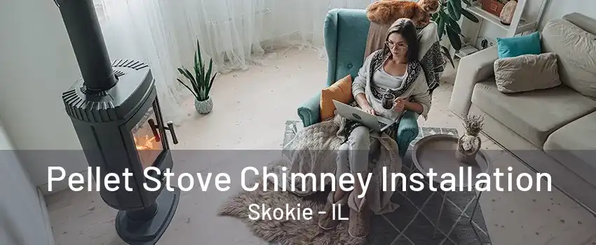 Pellet Stove Chimney Installation Skokie - IL