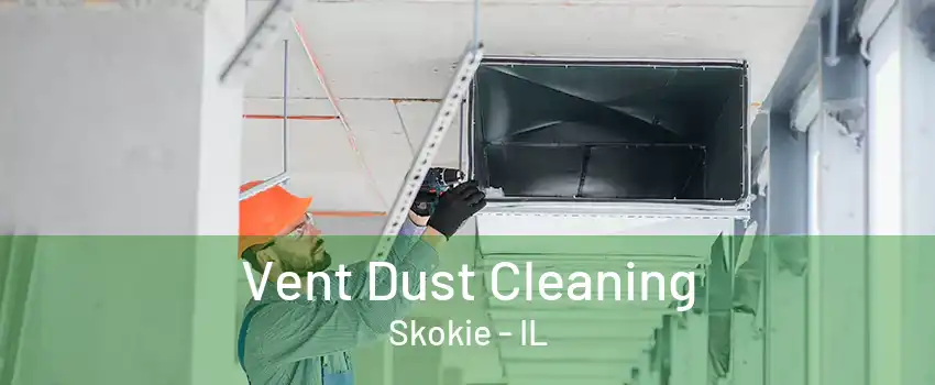 Vent Dust Cleaning Skokie - IL