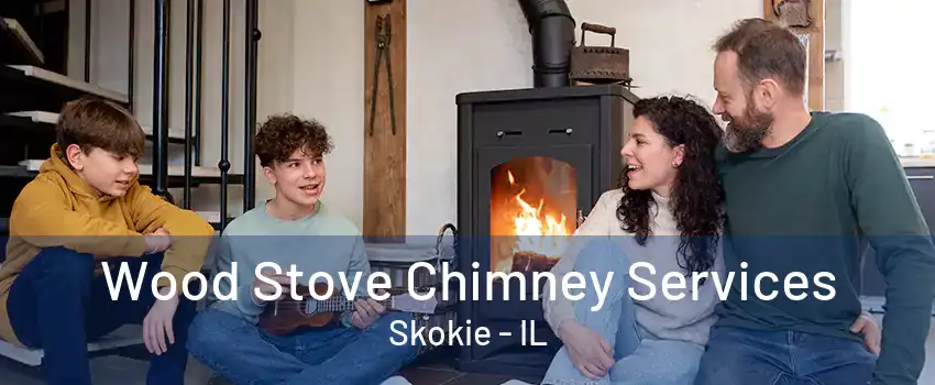 Wood Stove Chimney Services Skokie - IL